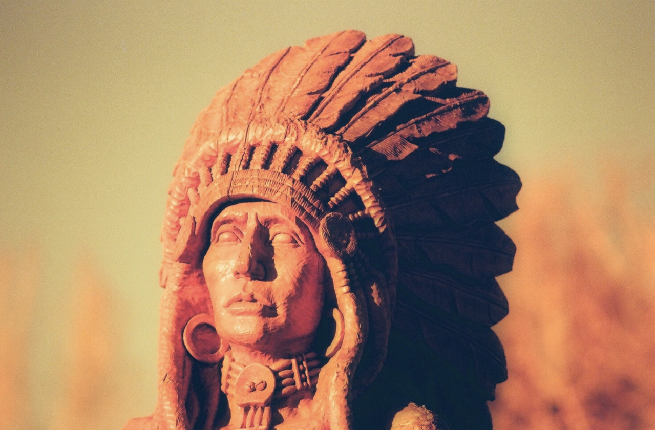 Hand-carved willow sculpture detail of a Native American figure wearing a feathered headdress, Niwot, Colorado.